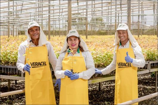 Foto: Ascom/ Veracel Celulose